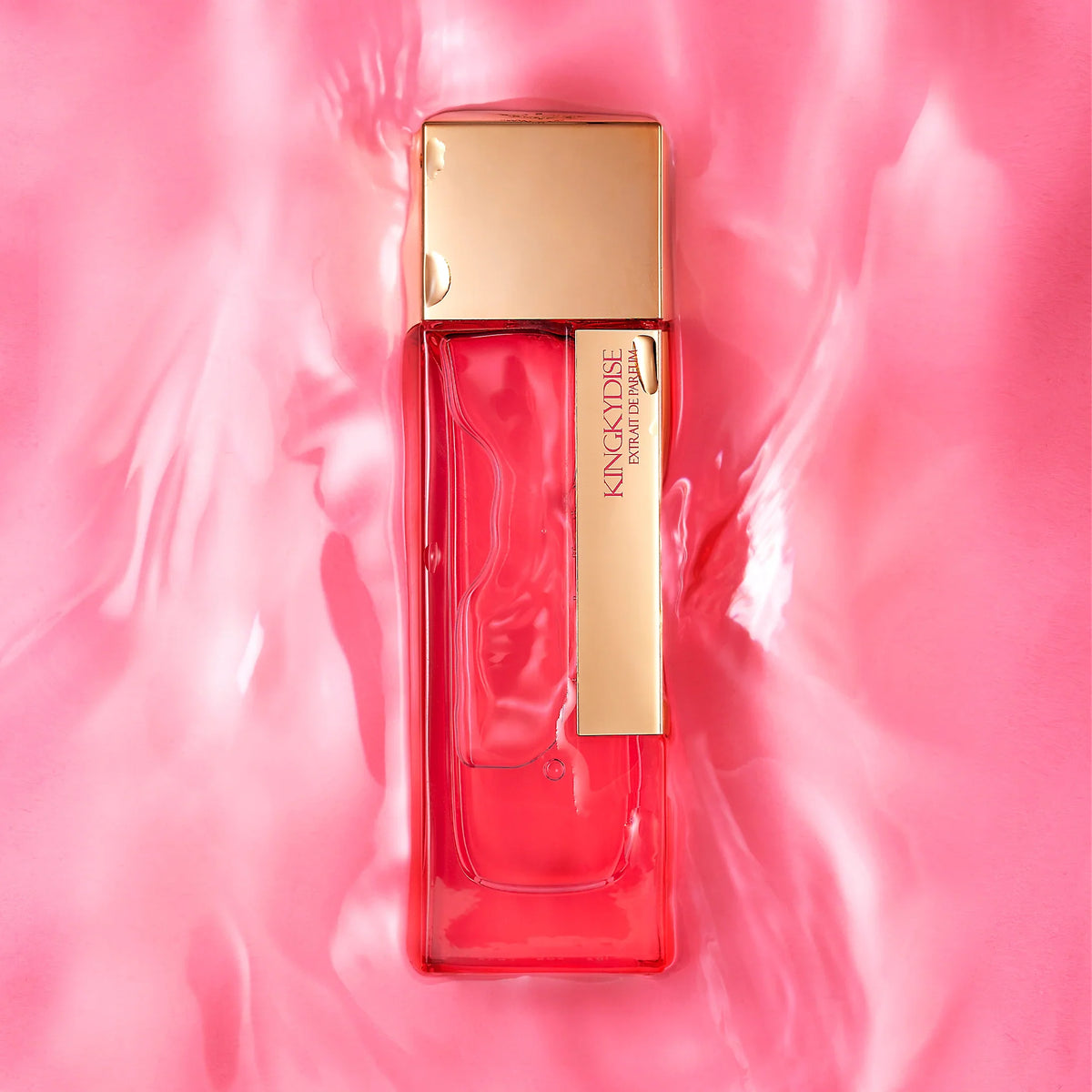 KINGKYDISE - LAURENT MAZZONE